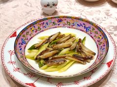 -新光酒家·河豚·海鲜·蟹料理(浦东店)