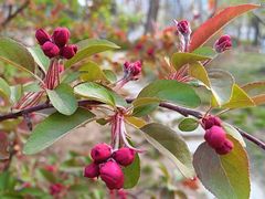 -元大都城垣遗址公园