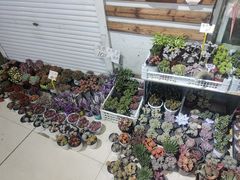 -无锡文化工艺品市场(槐古路店)