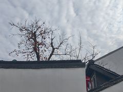 -拙政园