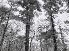 -秦岭风景区