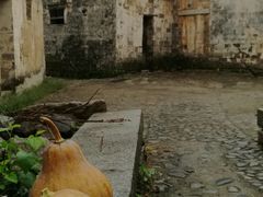 -塔川景区