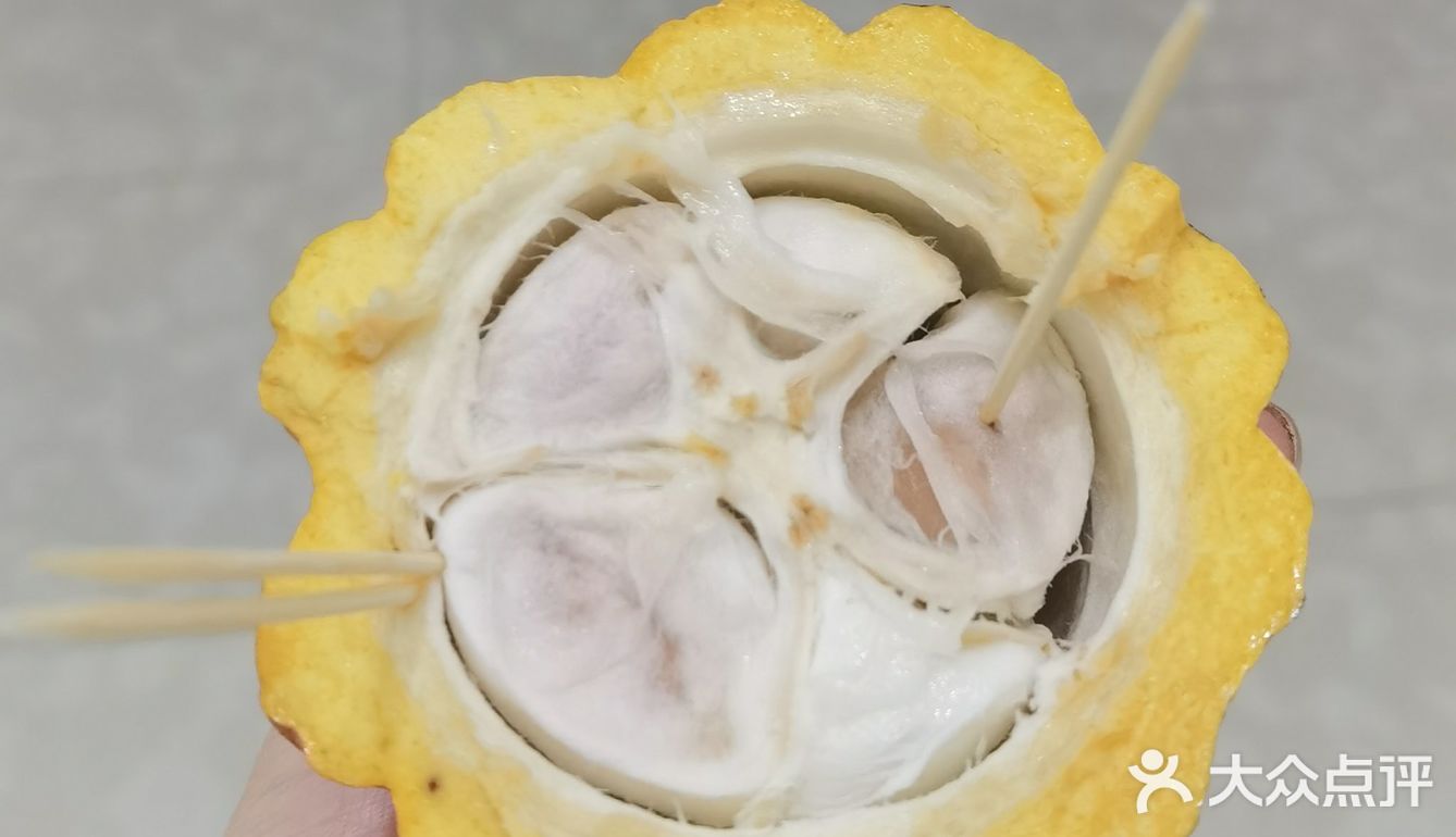 可可本尊