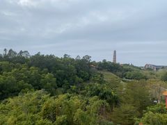-广州莲花山旅游区
