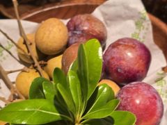 -季季山·云南野生菌火锅(上海首店)