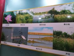 -地方名吃海鲜大馅蒸饺(北戴河店)