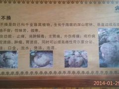 -海南槟榔谷黎苗文化旅游区