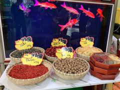 -清真·胖妈妈手抓餐厅(定西路长城宾馆店)