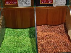 -彩贝乐超市