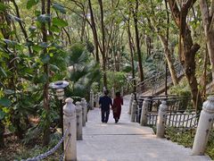 -深圳国际园林花卉博览园