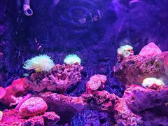 -石林冰雪海洋世界