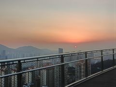 -板樟山森林公园