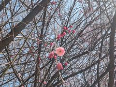 -汉口江滩-五福广场