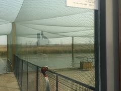 -盐城丹顶鹤湿地生态旅游区