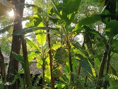 -成都杜甫草堂博物馆
