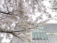 -龙美术馆(西岸馆)