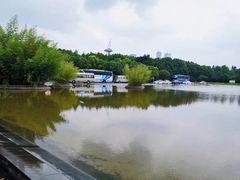 -金陵图书馆