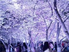 -西北湖绿化广场