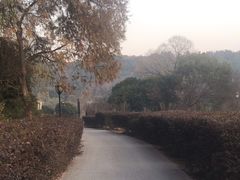 -龙寺生态园