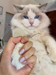 -Beauty Nails 美甲美睫皮肤管理