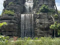 -新加坡飞禽公园