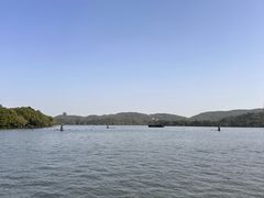 -西湖外事游船(花港观鱼码头)