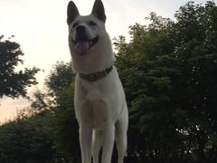 -宠颐生中康贝怡动物医院
