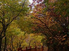 -玉渡山自然风景区