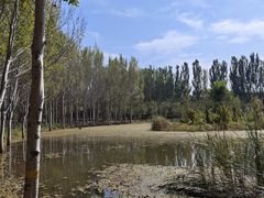 -东郊湿地公园