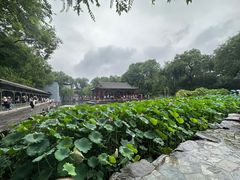 -恭王府博物馆