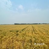 在济南实现树莓自由你敢信？！[加油]