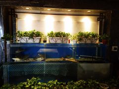 -惠丰堂饭庄·烤鸭·京味菜(西北旺·唐家岭店)