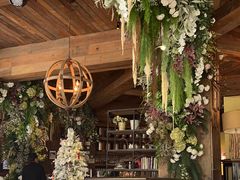 -一棵树·意大利西餐厅One Tree(新城店)