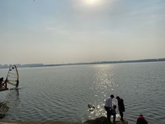 -丁香湖公园