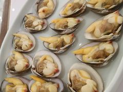 蚬子-喜鼎海胆水饺(平安金融中心店)