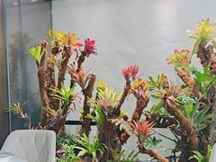 -扶摇湘宴·烤鸭·湘粤宴(中关村·北大店)