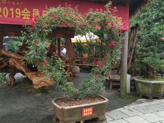 -天怡·鱼工厂(临江店)