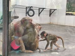 -西安秦岭野生动物园