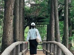 -东湖落雁景区