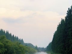 -黄海国家森林公园