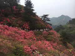 -木兰云雾山