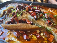 -蜀腾川·火锅鱼.烤鱼(新世界城店)