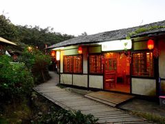 -天门沟九州驿站树上汤泉