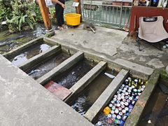 -源泉冷水鱼庄(小鱼洞店)