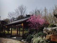 -南阳卧龙岗武侯祠