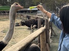 -麦园农庄·西江河鲜