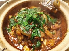 甲鱼煲-金龙·打边炉(武进路店)