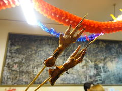 -炒豆合作社(东四总店)