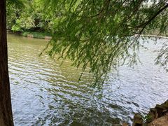 -深圳仙湖植物园