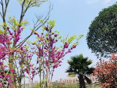 -枫香湖儿童公园